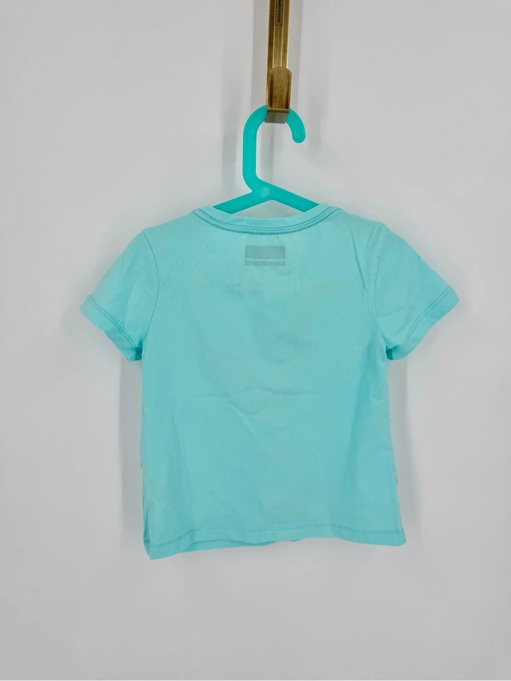 Eddie Bauer Aqua Tee with Blue & Green Heart Earth Graphic